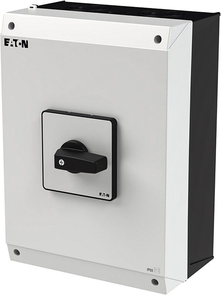 a-p3-100-3=i_1.jpg