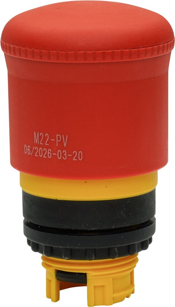 a-pv_2.jpg