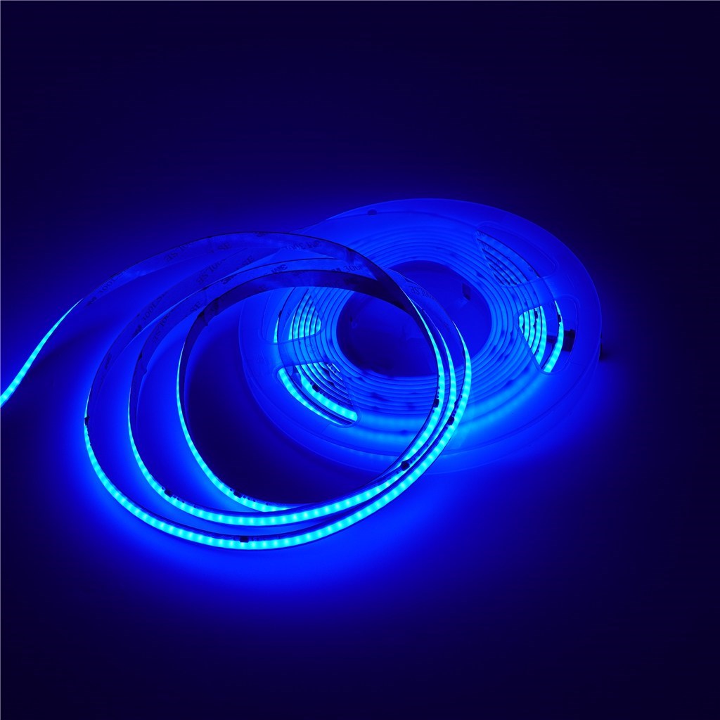 m 5596rgb_2.jpg