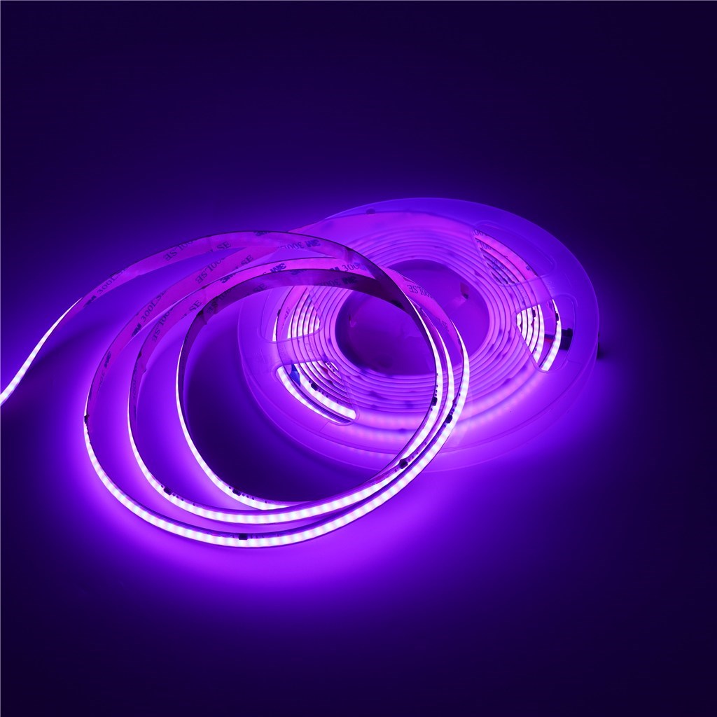 m 5596rgb_3.jpg