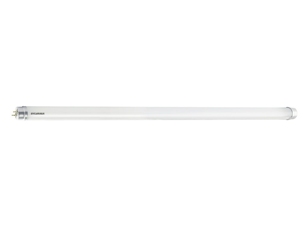 p 30384_0.jpg