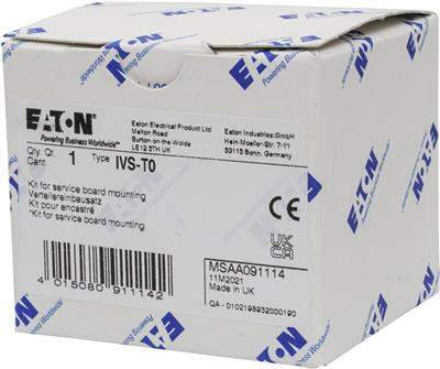 a-ivs-t0_1.jpg