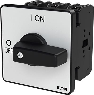 a-p3-100-3=e_1.jpg
