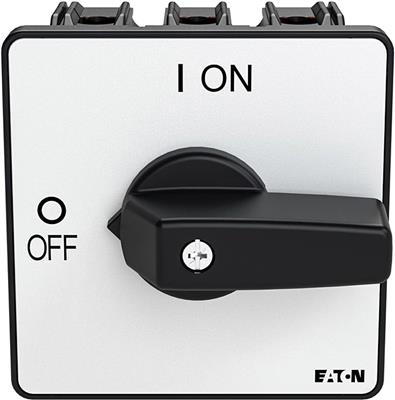 a-p3-100-3=e_2.jpg