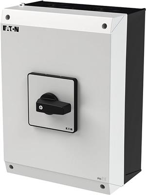 a-p3-100-3=i_1.jpg