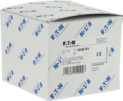 a-svb-p3_3.jpg