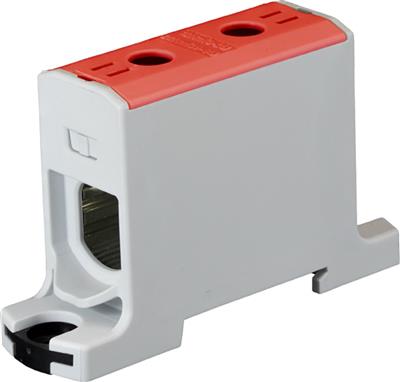 c 11095r_0.jpg