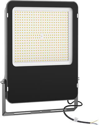 m 95250.4000_0.jpg